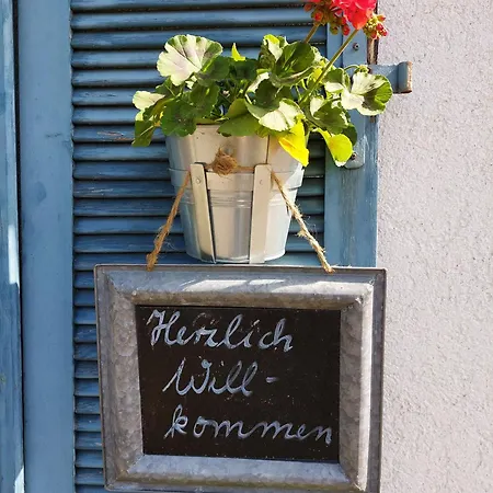 Dischhof