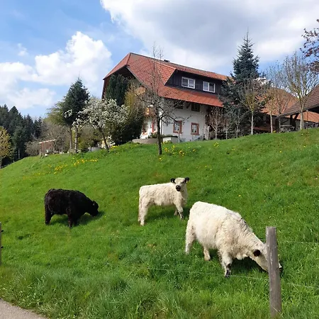 Dischhof * Biederbach