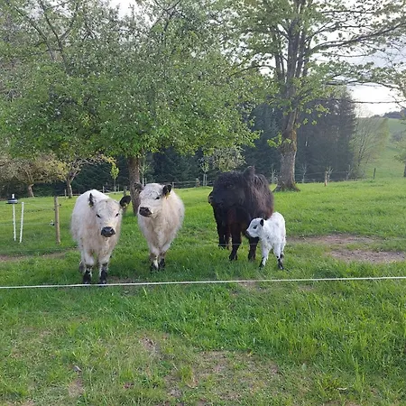 Dischhof Vakantieboerderij *