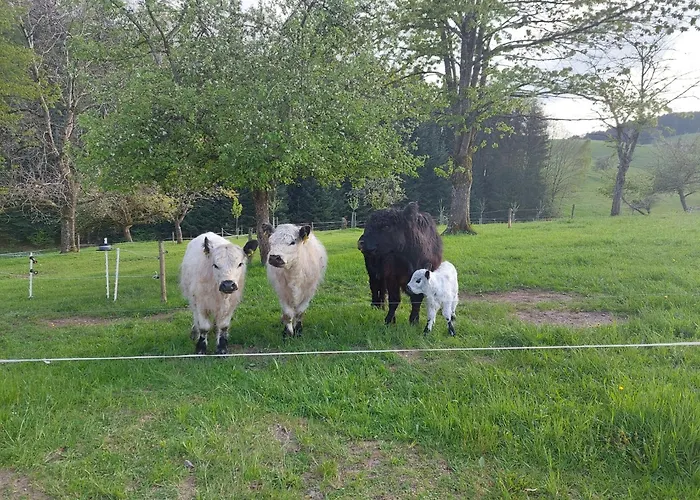 Dischhof مزرعة للإقامة *